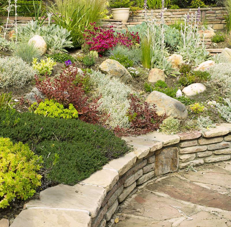 Rock Garden Designs