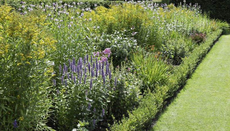 Completed Landscape with Native Plants