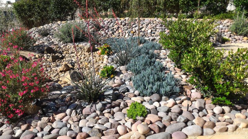 Xeriscaping Service