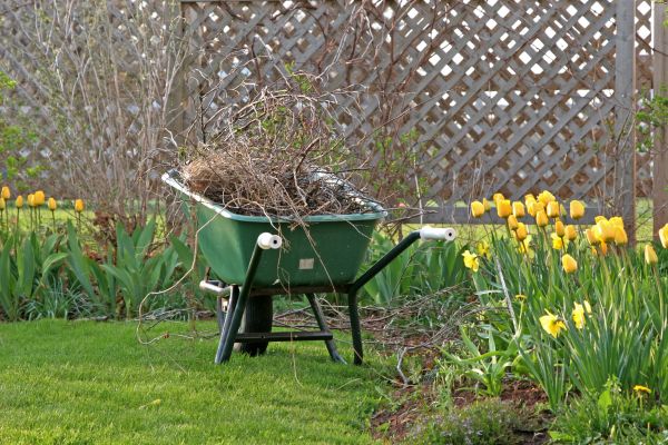 Flower Bed Cleanup Service in Flagstaff