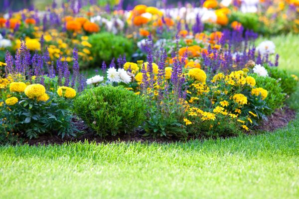 Flower Bed Maintenance in Flagstaff