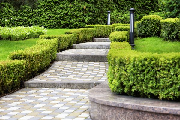 Backyard Remodeling in Flagstaff