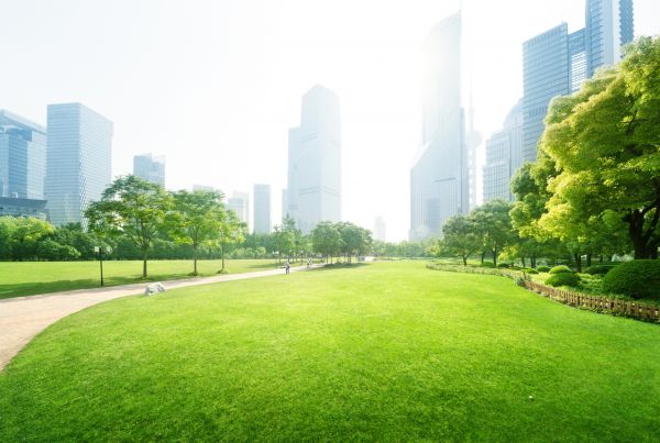 Commercial Landscape Maintenance in Flagstaff