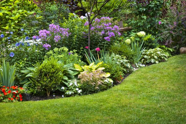 Flower Bed Service in Flagstaff