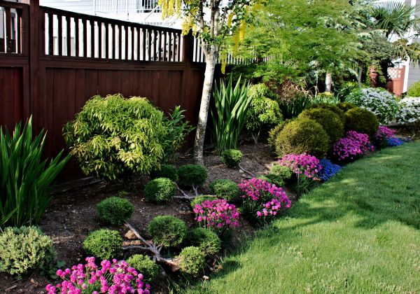 Garden Care Service in Flagstaff