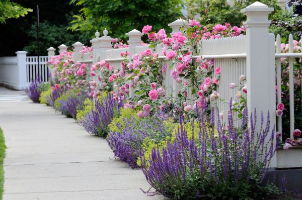 Garden Handyman Service in Flagstaff