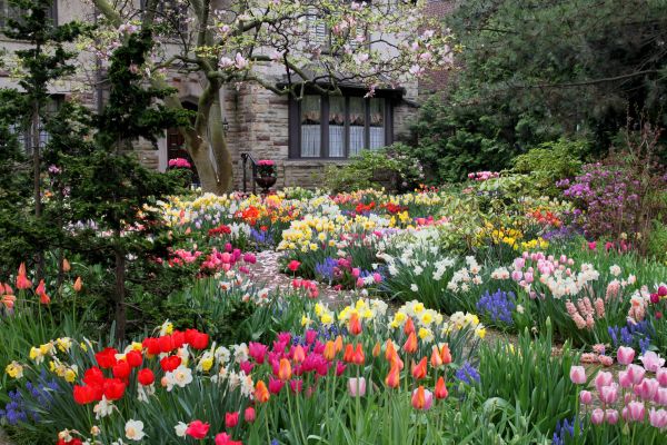 Garden Maintenance Service in Flagstaff