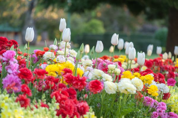 Gardening Service in Flagstaff