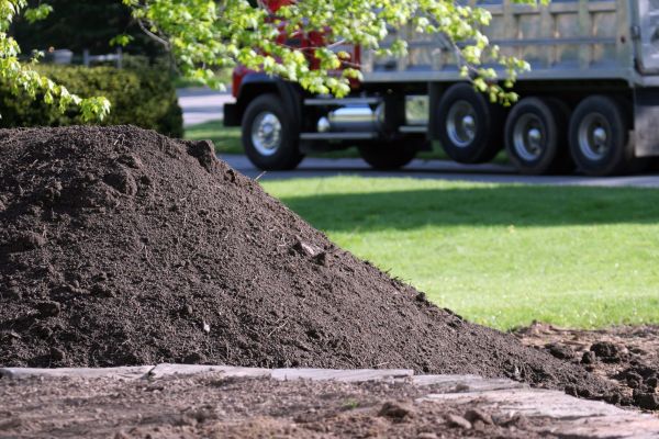 Yard Dirt Delivery in Flagstaff