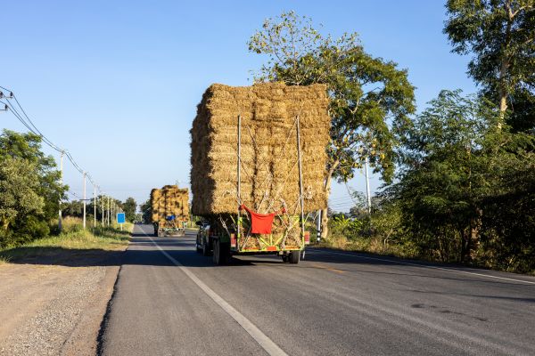 Pine Straw Delivery in Flagstaff