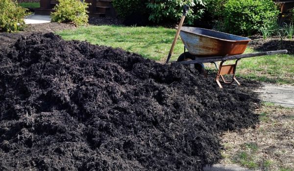 Black Mulch Delivery in Flagstaff