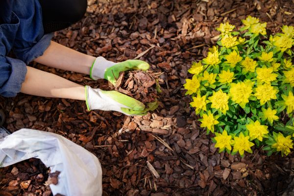 Garden Mulching in Flagstaff