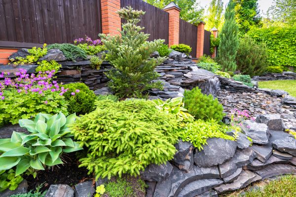 Landscape Remodeling in Flagstaff