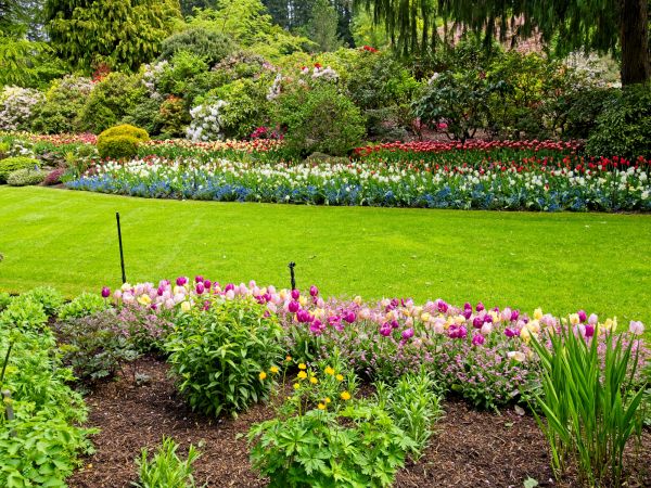 Residential Landscape Design in Flagstaff