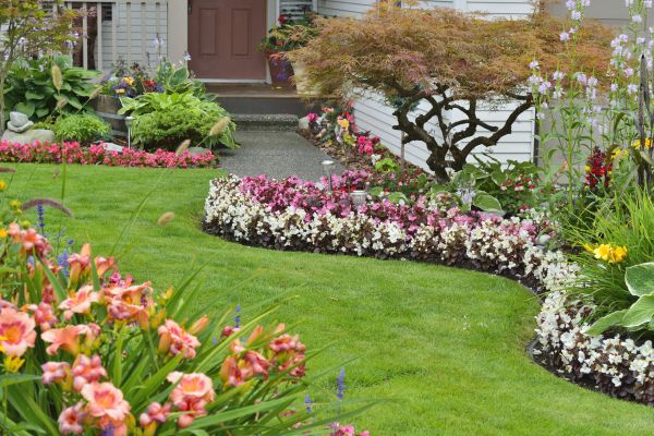 Perennial Landscaping in Flagstaff