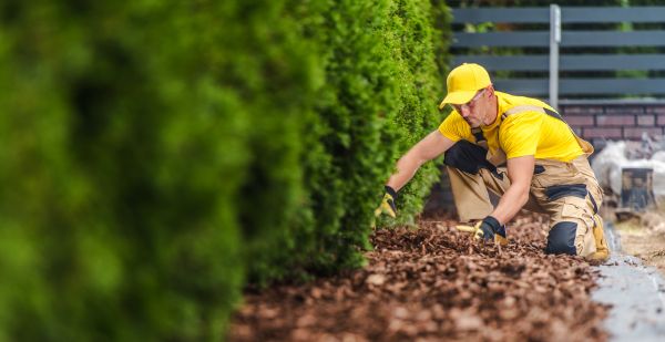 Cypress Mulch Installation in Flagstaff