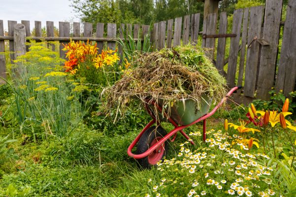 Garden Cleanup Service in Flagstaff