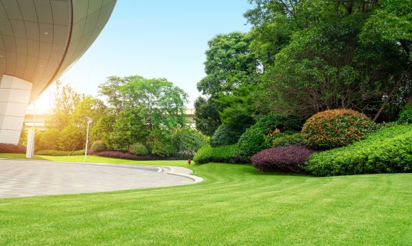 Business Landscape Design in Flagstaff