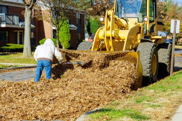 Mulch Hauling in Flagstaff