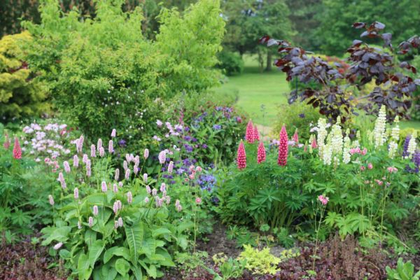 Flower Bed Planting in Flagstaff