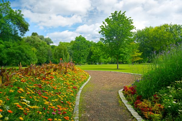 Park Landscaping in Flagstaff