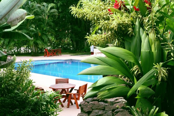Tropical Garden Landscaping in Flagstaff