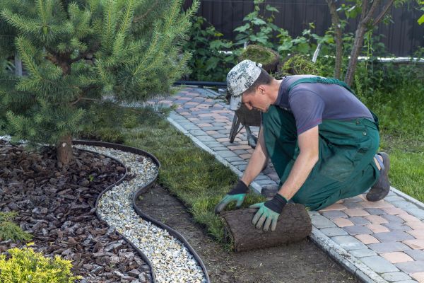 Landscaping Modification in Flagstaff