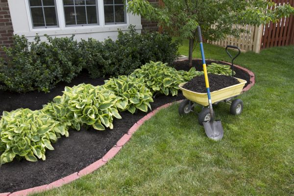 Landscape Mulching in Flagstaff