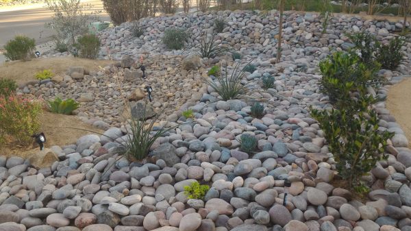 Yard Xeriscaping in Flagstaff