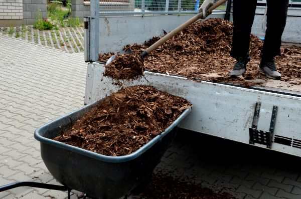 Cedar Mulch Delivery in Flagstaff