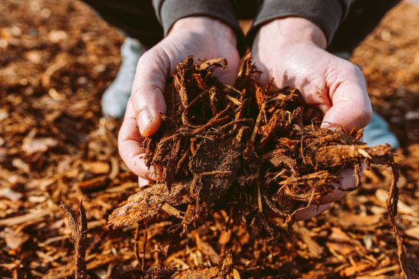 Bark Chips Delivery in Flagstaff