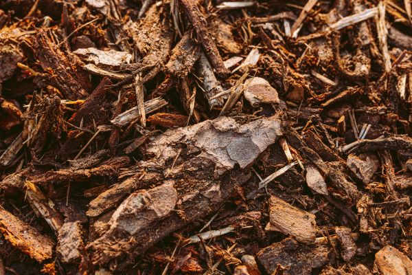 Bark Mulch Delivery in Flagstaff