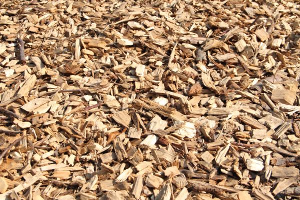 Wood Mulch Delivery in Flagstaff