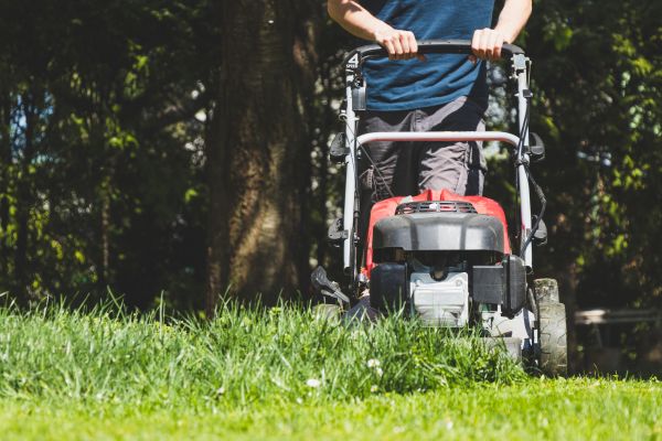 Garden Trimming Service in Flagstaff