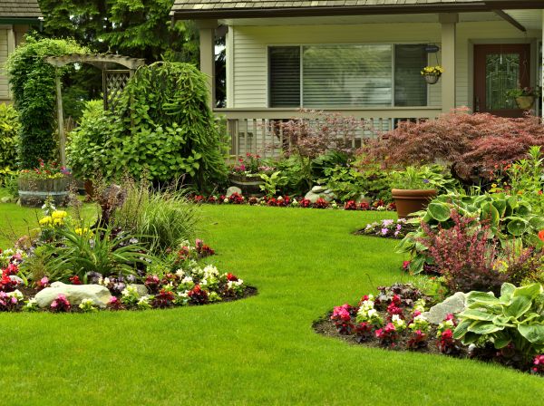 Flower Garden Planting in Flagstaff