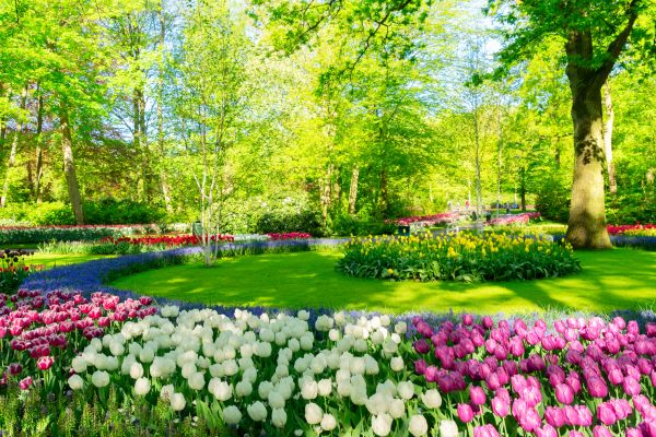 Flower Landscaping in Flagstaff