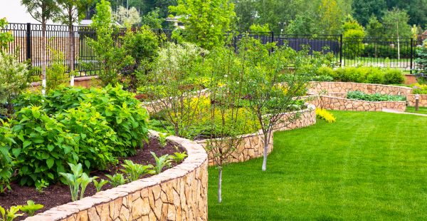 Yard Makeover Service in Flagstaff