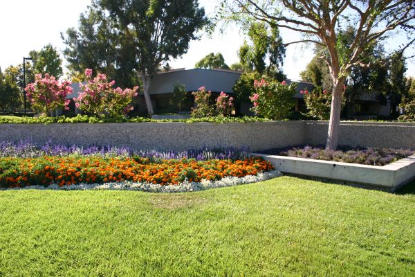 Commercial Landscape Service in Flagstaff
