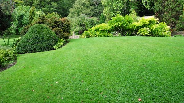 Commercial Landscape Design in Flagstaff