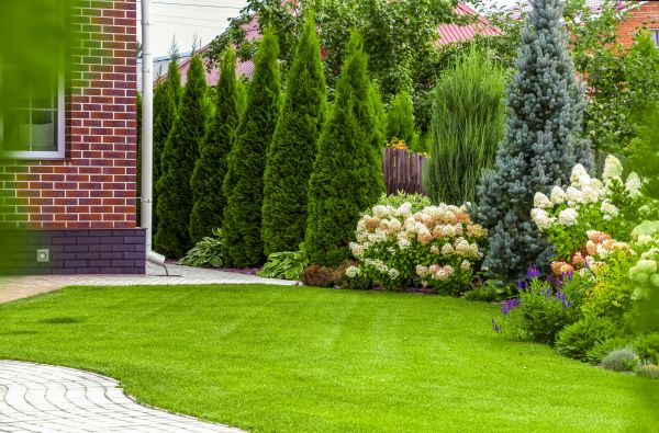 Spring Landscaping in Flagstaff