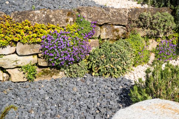 Landscaping Rocks Installation in Flagstaff