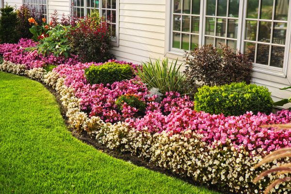 Garden Landscape Design in Flagstaff