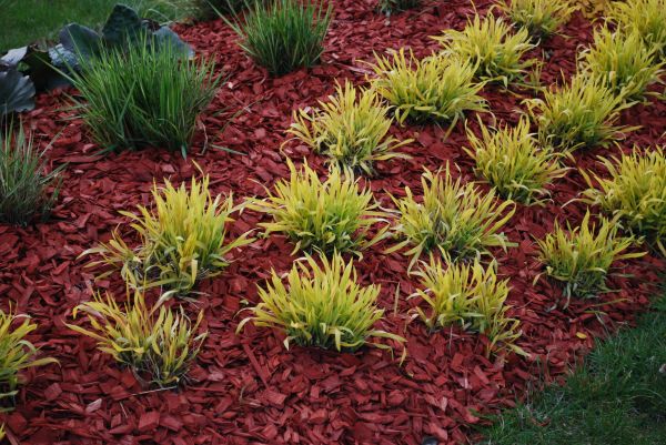 Red Mulch Installation in Flagstaff