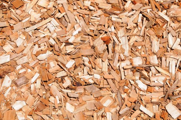 Cypress Mulch Spreading in Flagstaff