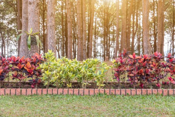Small Garden Landscaping in Flagstaff