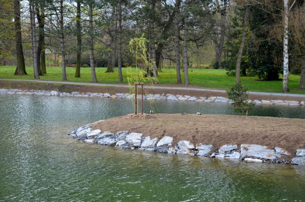 Pond Landscaping Service in Flagstaff