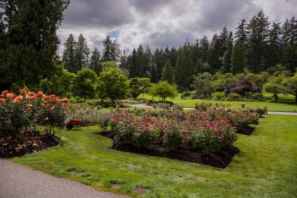 Flower Garden Landscaping in Flagstaff