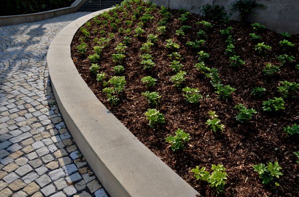 Commercial Mulching in Flagstaff